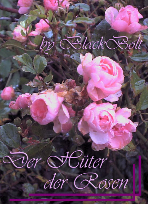 DerHueterderRosen